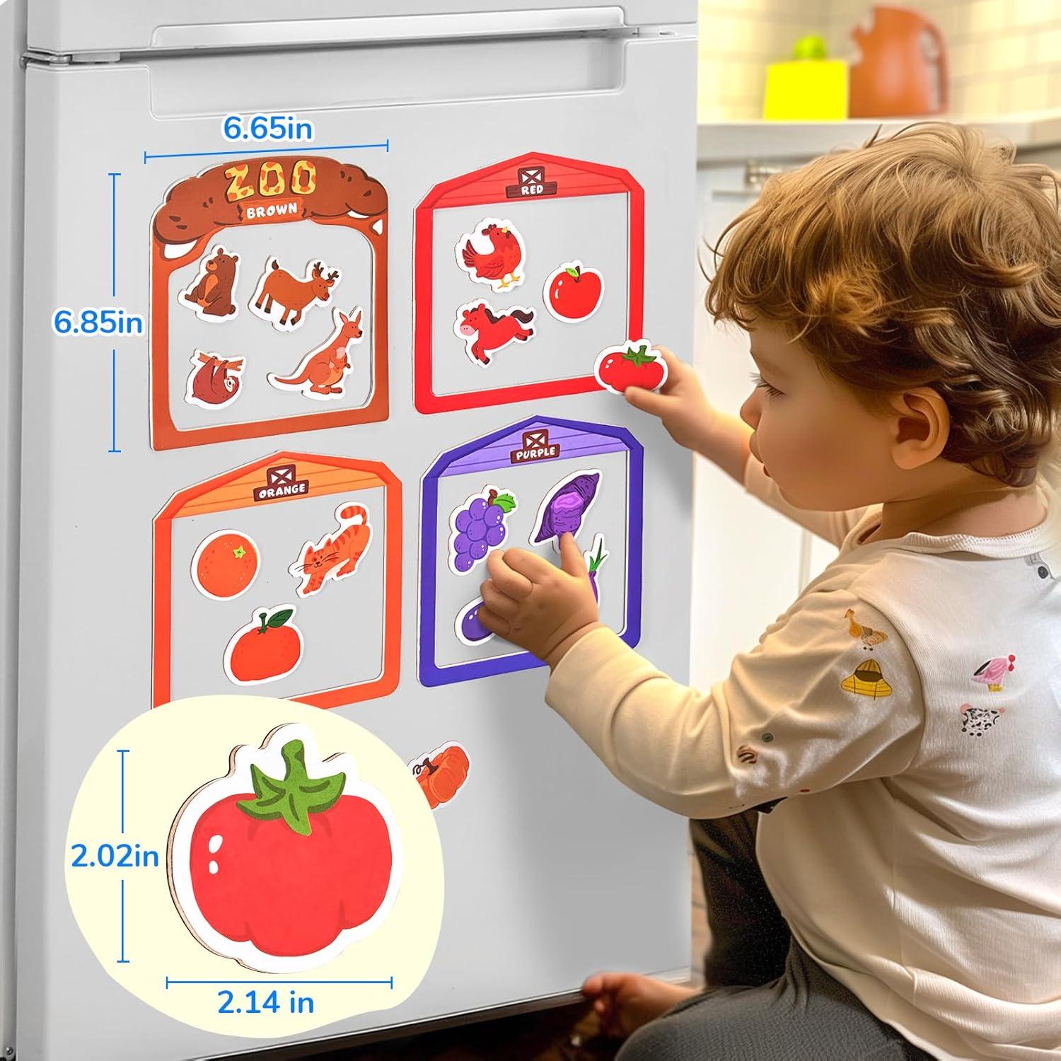 GAMENOTE JoyCat Color Sorting Sensory Toys, 10-Piece Wooden Magnetic Color Set for Toddlers Double Sided Magnetic Letter Board